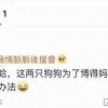 娱乐圈吃瓜总结,揭秘明星幕后真相与八卦传闻
